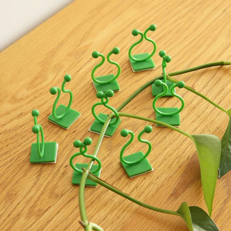 Abrazadera Invisible De Pared Para Plantas Trepadoras Con Tape Doble Contacto. (Paquete De 10 Piezas.) - Image 2
