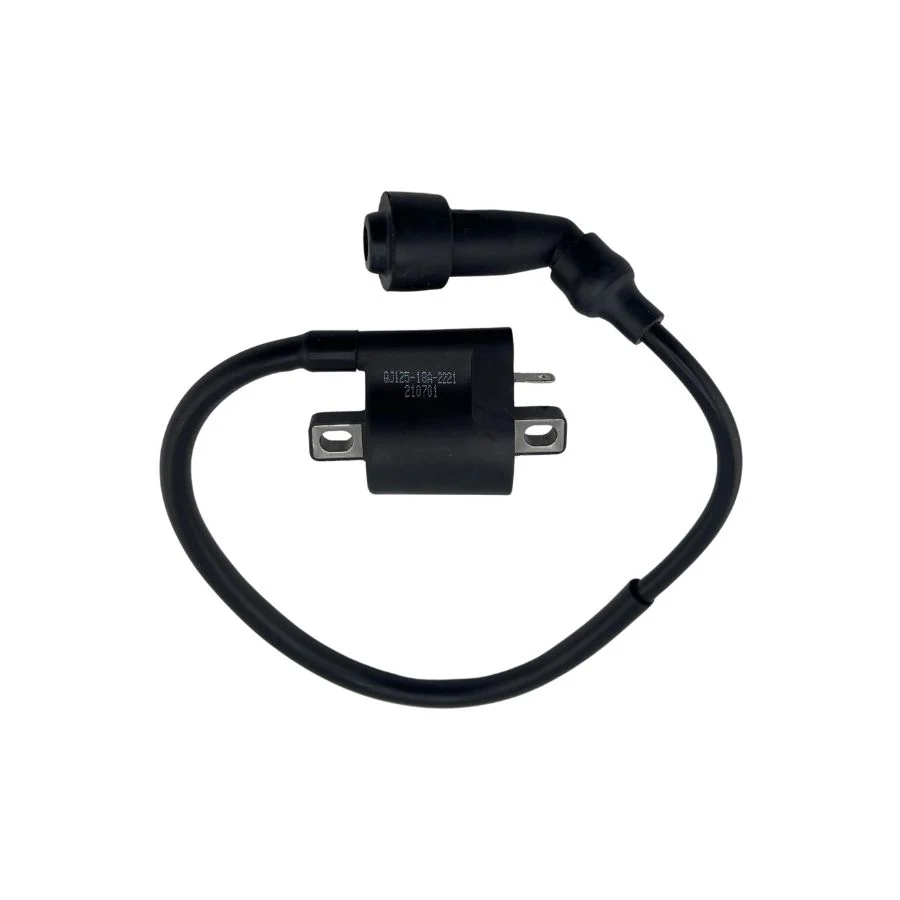Bobina De Encendido (RKG150)