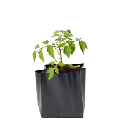 Bolsa Semillera Para Viveros, Color Negro (100 Unidades) - Image 3