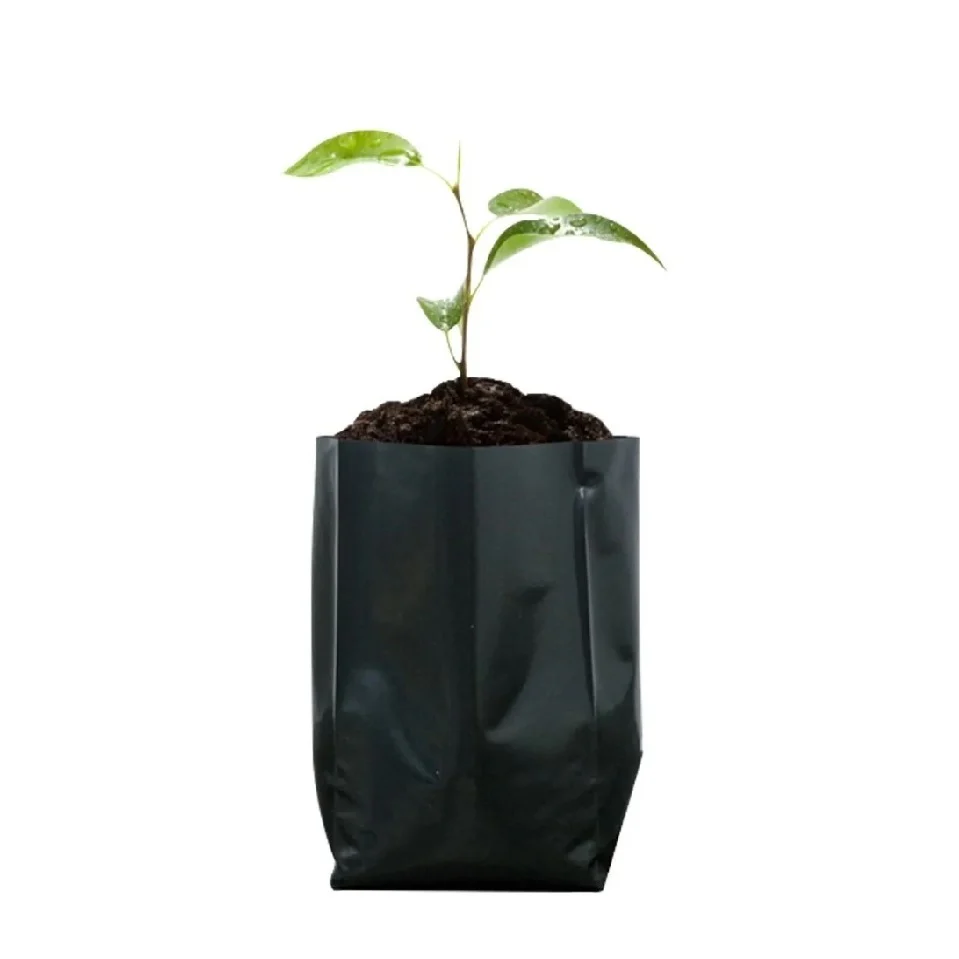 Bolsa Semillera Para Viveros, Color Negro (100 Unidades) - Image 4