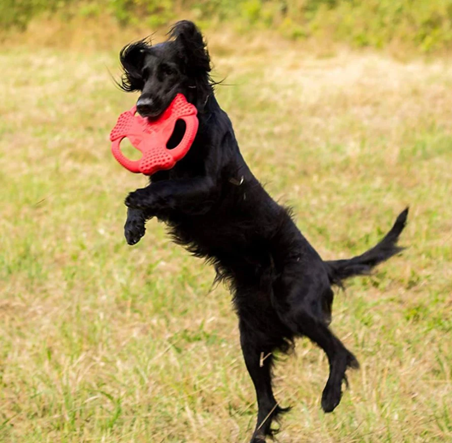 Frisbee Flying Tug 10" Rojo Para Mascota - Image 2