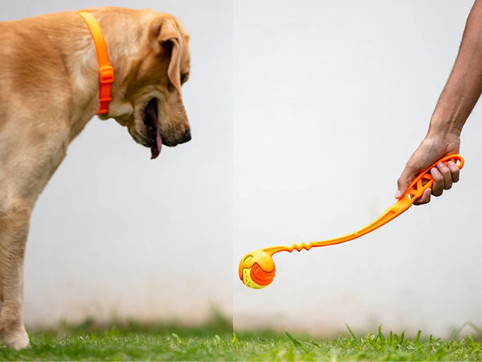 Pelota Resistente X-FOAM Naranja Para Mascota - Image 5