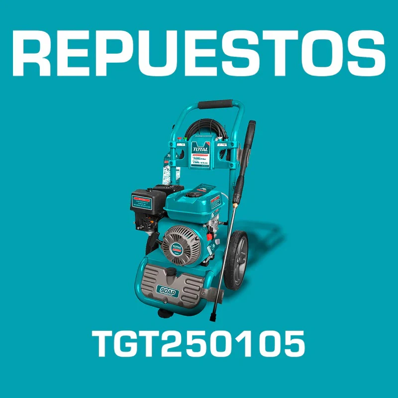 Repuestos Hidrolavadora De Gasolina Codigo TGT250105