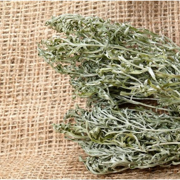 Semillas De Ajenjo, Hierba Medicinal (100% Heirloom / No Híbrido / No GMO). 300 Semillas Aprox. - Image 6