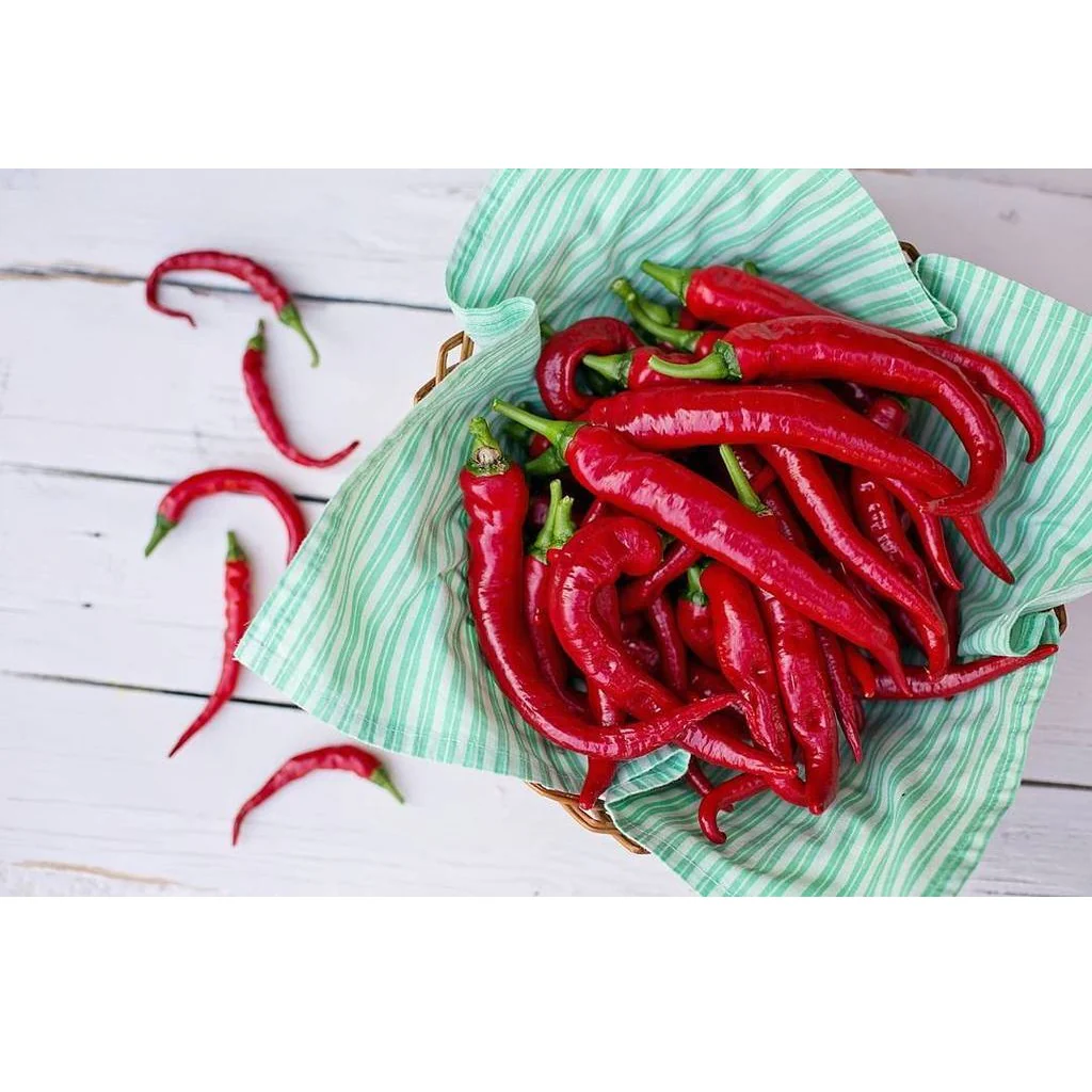 Semillas De Aji (HOT) Cayenne Long Thin (100% Heirloom/No Híbrido/No GMO). 10 Semillas Aprox. - Image 3