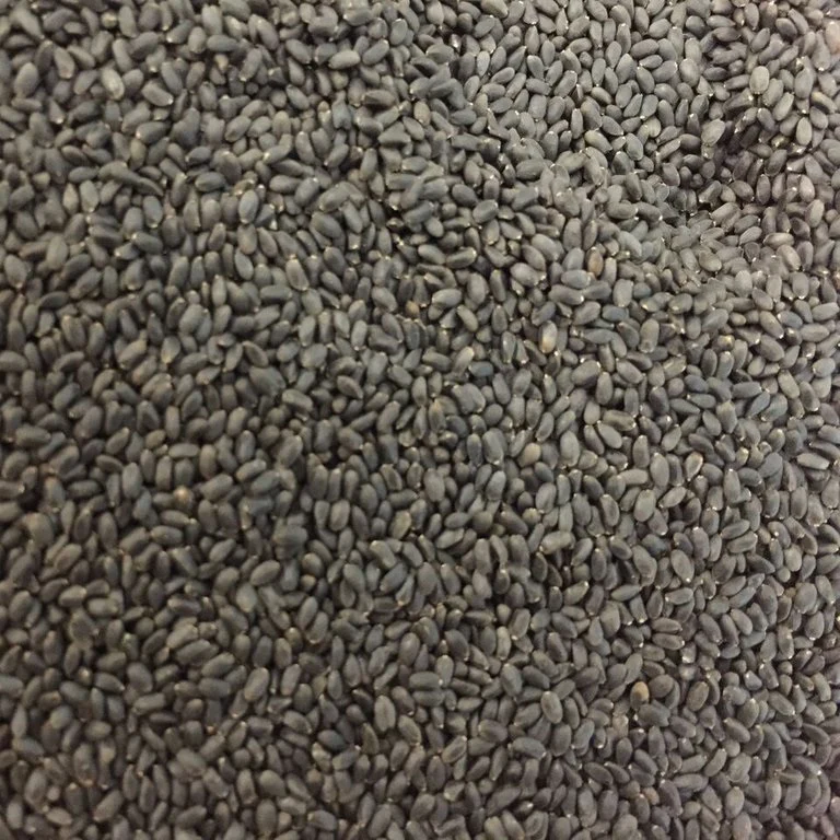 Semillas De Albahaca, Lima (100% Heirloom/No Híbrido/No GMO). 60 Semillas Aproximadamente. - Image 2