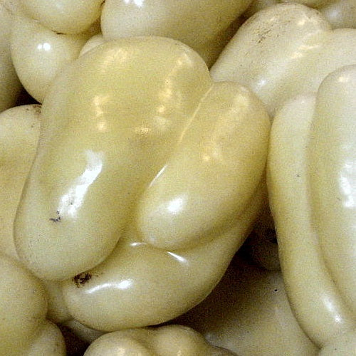 Semillas De Pimenton, Nube Blanca. 10 Semillas Aproximadamente - Image 2