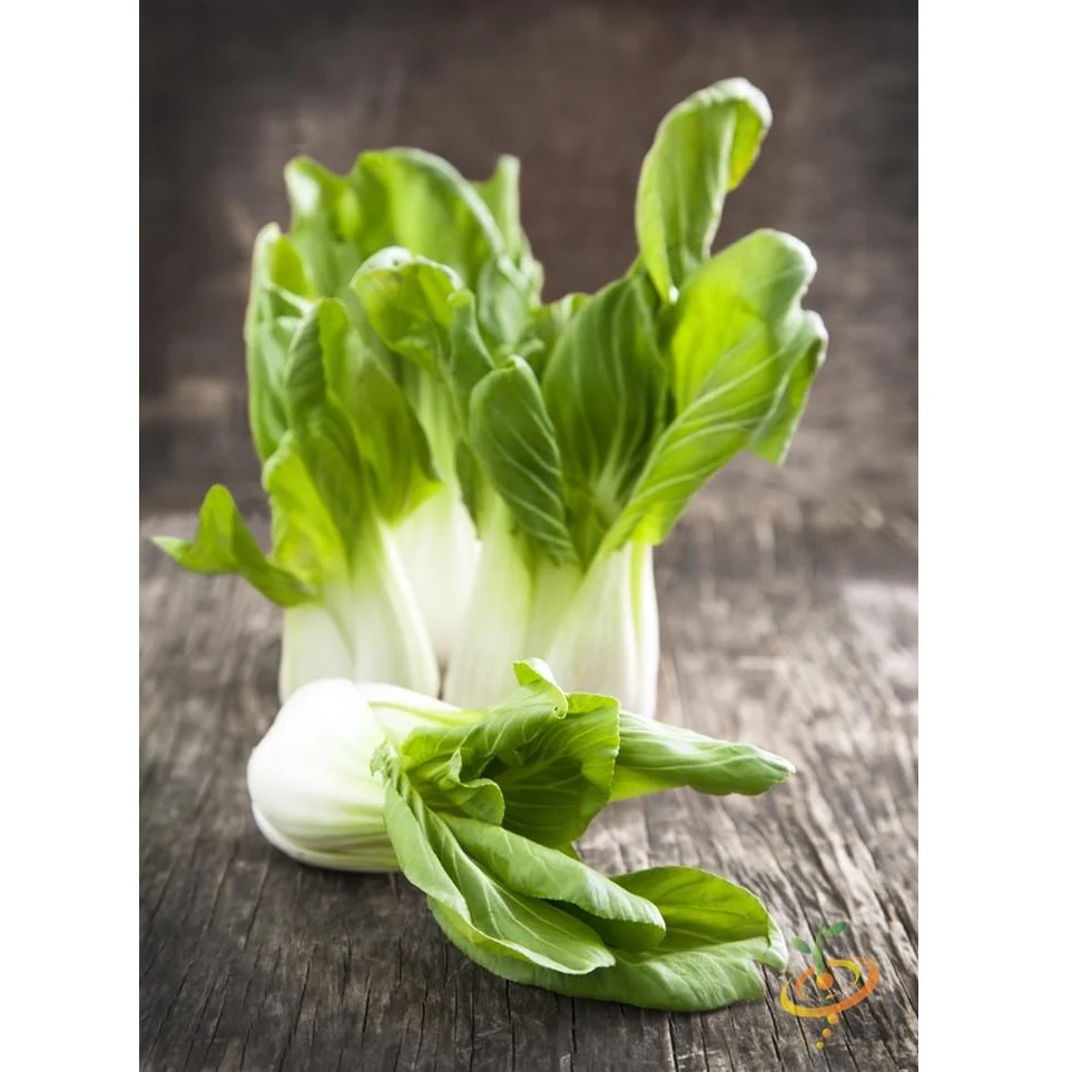 Semillas De Repollo Chino, Bok Choy Tallo Blanco(100% Heirloom/No Híbrido/No GMO).50 Semillas Aprox. - Image 4